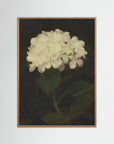 Timeless Hydrangea Bloom Wall Art Oak Nature No border