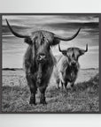 Highlands by Stéphane Pecqueux Black