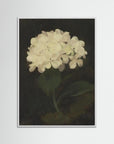 Timeless Hydrangea Bloom Wall Art White Wood No border