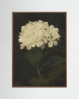 Timeless Hydrangea Bloom Wall Art Oak Dark No border