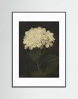 Timeless Hydrangea Bloom Wall Art Black Wood White