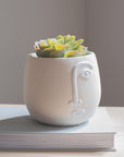 Kai Cement Face Planter