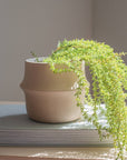 Nichola Textured Tan Planter