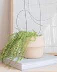 Nichola Textured Tan Planter
