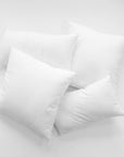 Pillow Inserts