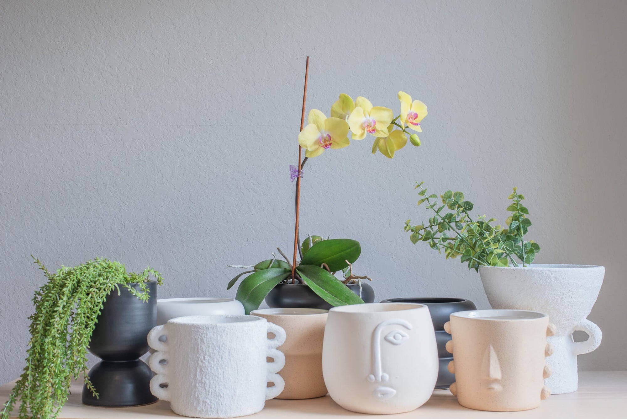 Modern Planters | Apartment No.3