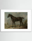 Horse Art Print White Wood White