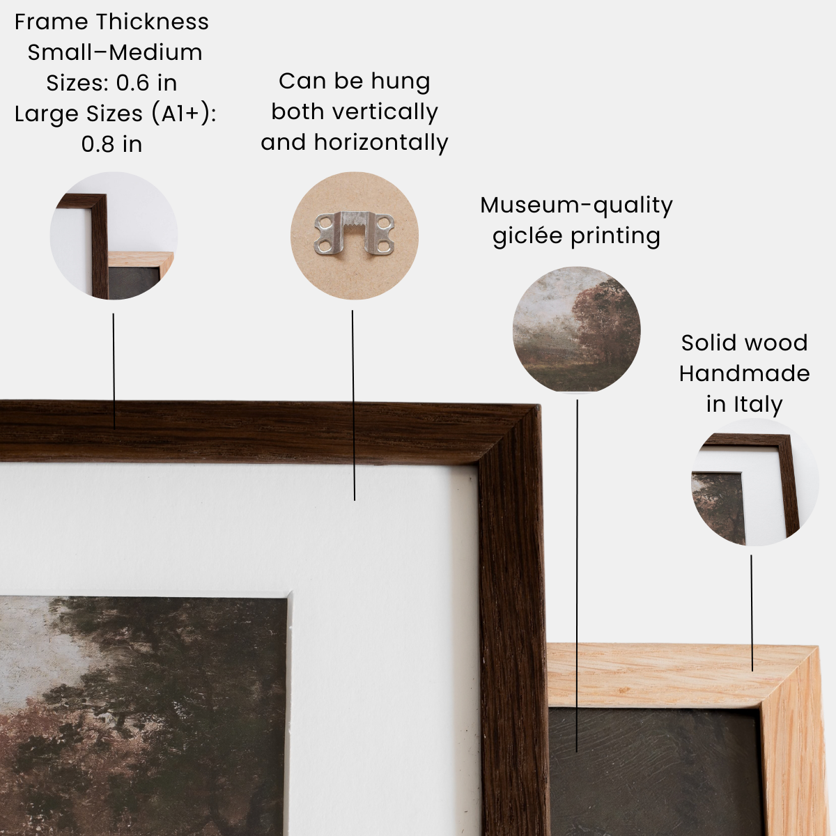 Botanical Blossoms Art