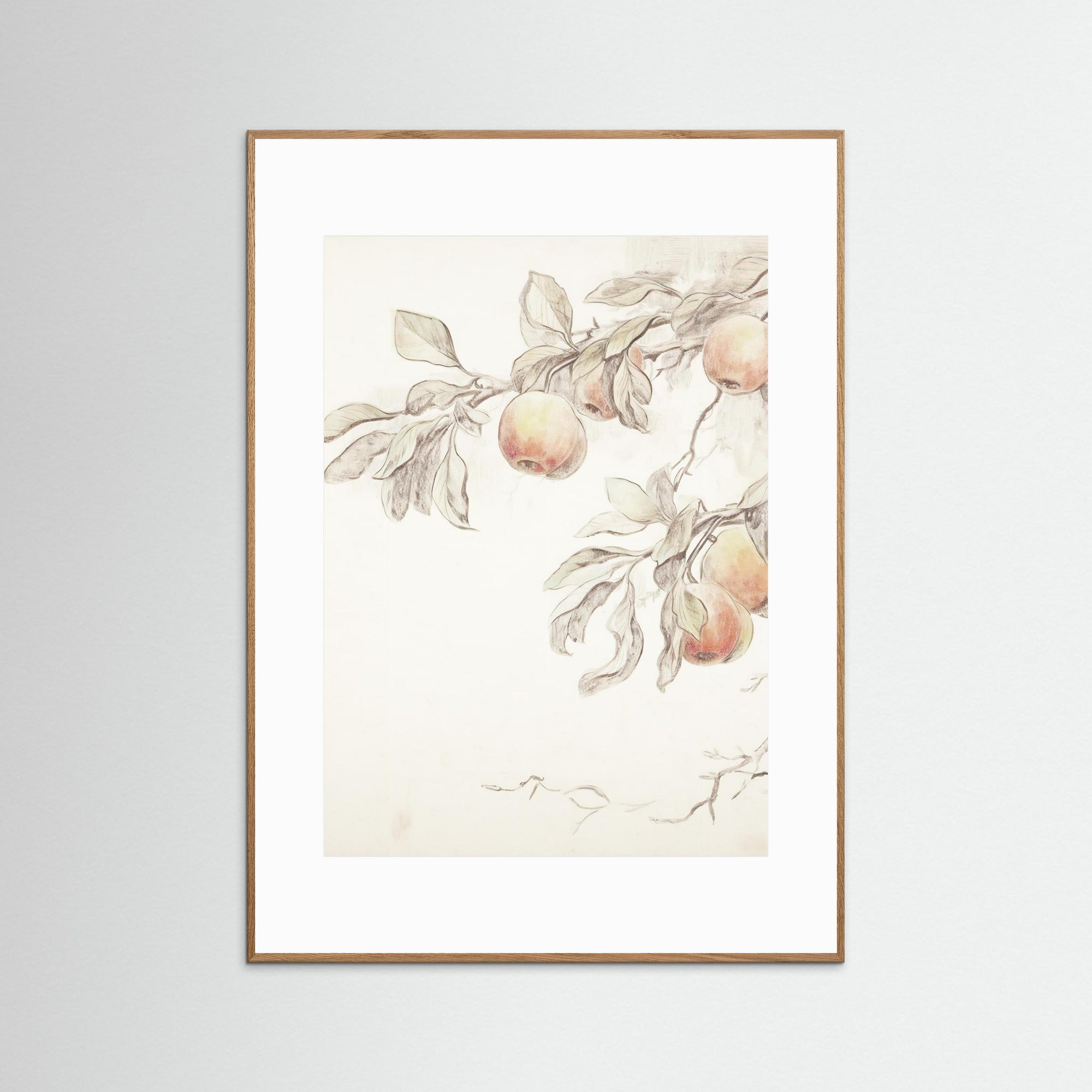 Peach Tree Botanical Art Print Oak Nature White