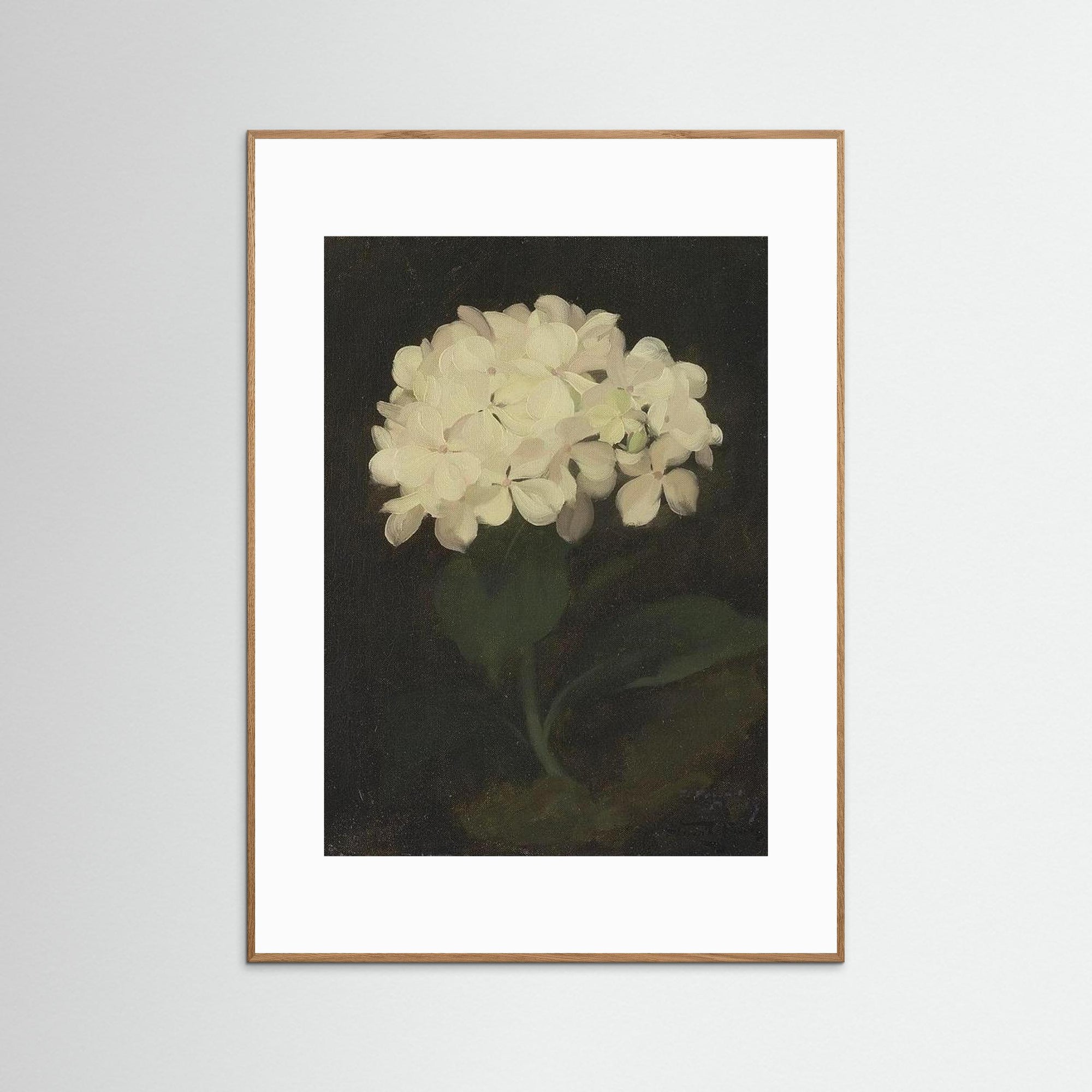 Timeless Hydrangea Bloom Wall Art Oak Nature White