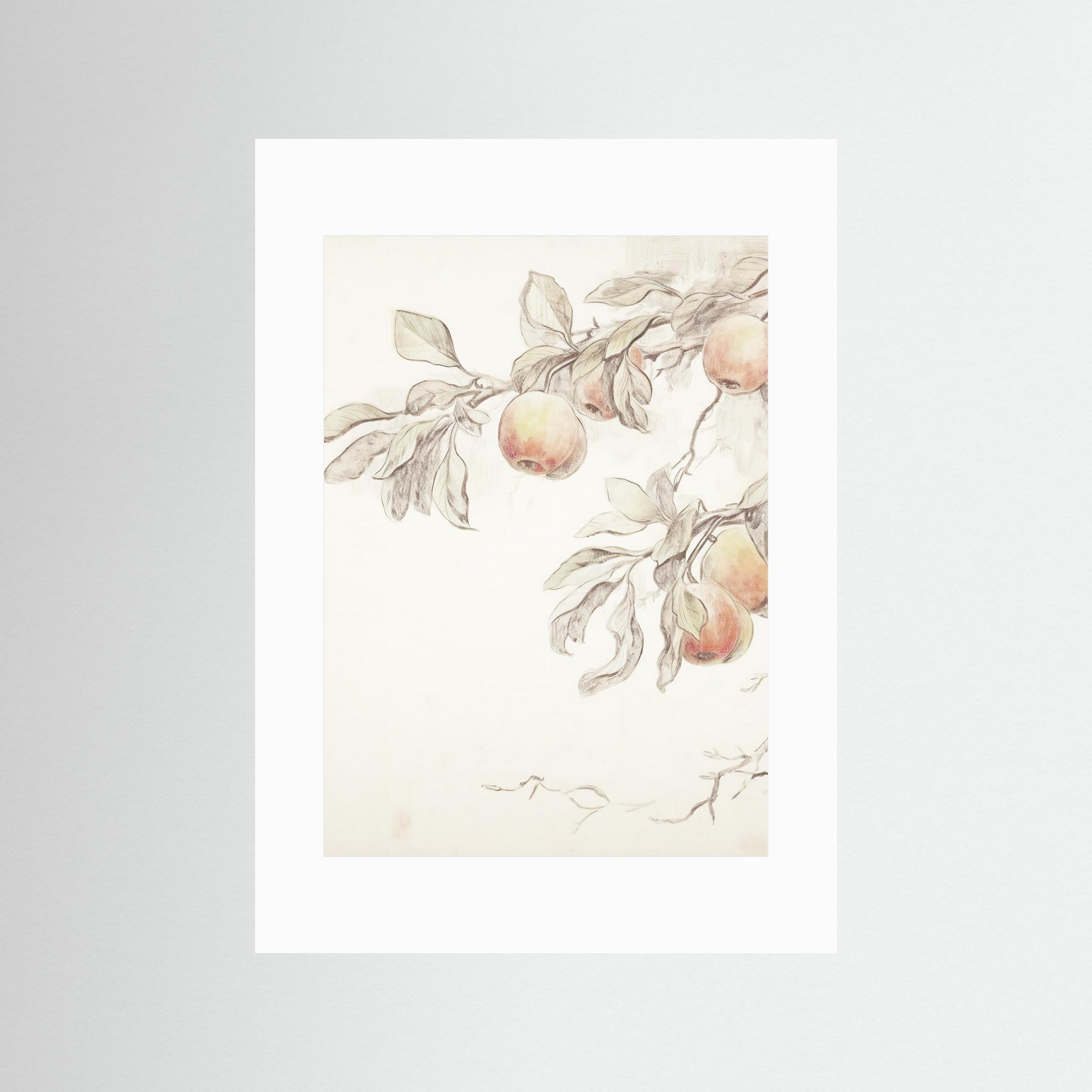 Peach Tree Botanical Art Print No Frame White