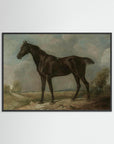 Horse Art Print Black Wood No border