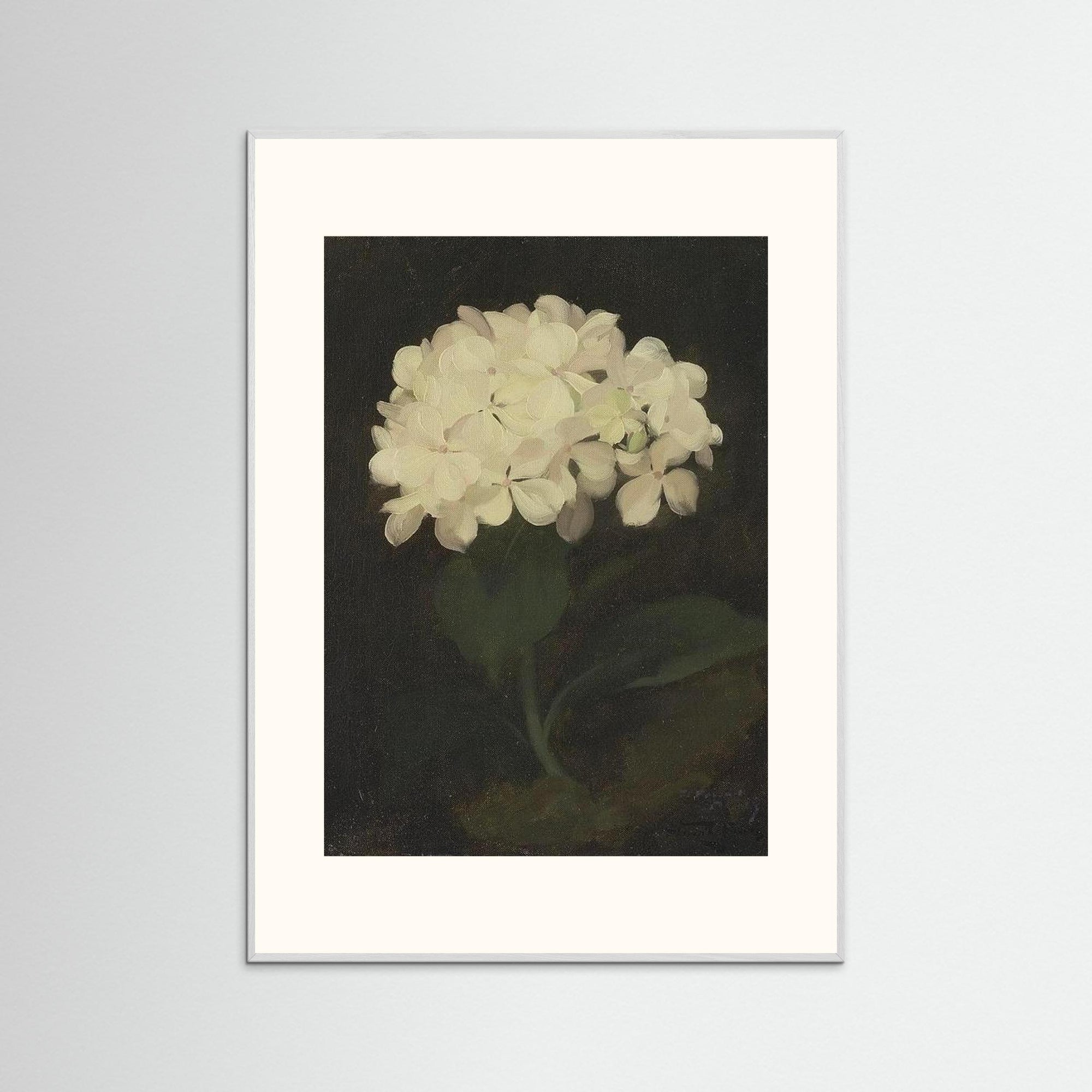 Timeless Hydrangea Bloom Wall Art White Wood Freja