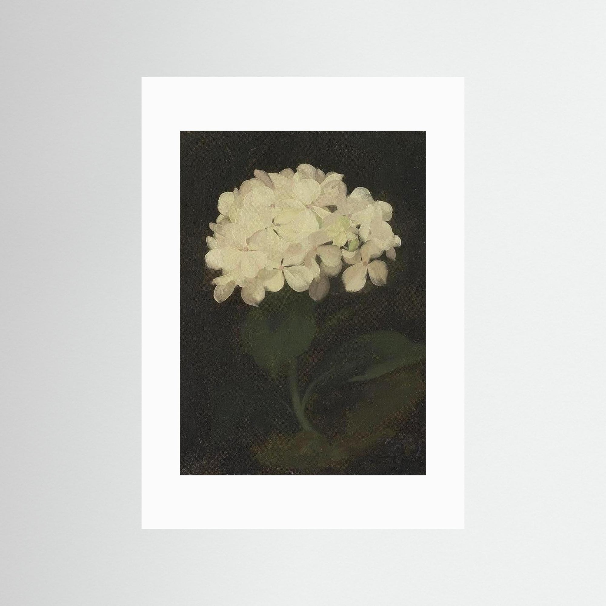 Timeless Hydrangea Bloom Wall Art No Frame White