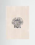 Seashell by Ivy Green Illustrations No Frame No border