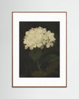 Timeless Hydrangea Bloom Wall Art Oak Dark White
