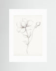 Floral Drawing Art Print No Frame White