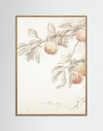 Peach Tree Botanical Art Print Oak Nature No border