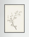 Floral Branch Sketch Wall Art Black Wood No border
