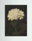 Timeless Hydrangea Bloom Wall Art Black Wood No border