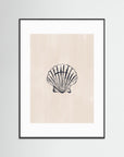 Seashell by Ivy Green Illustrations Black Wood White