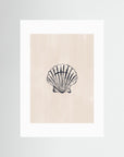 Seashell by Ivy Green Illustrations No Frame White