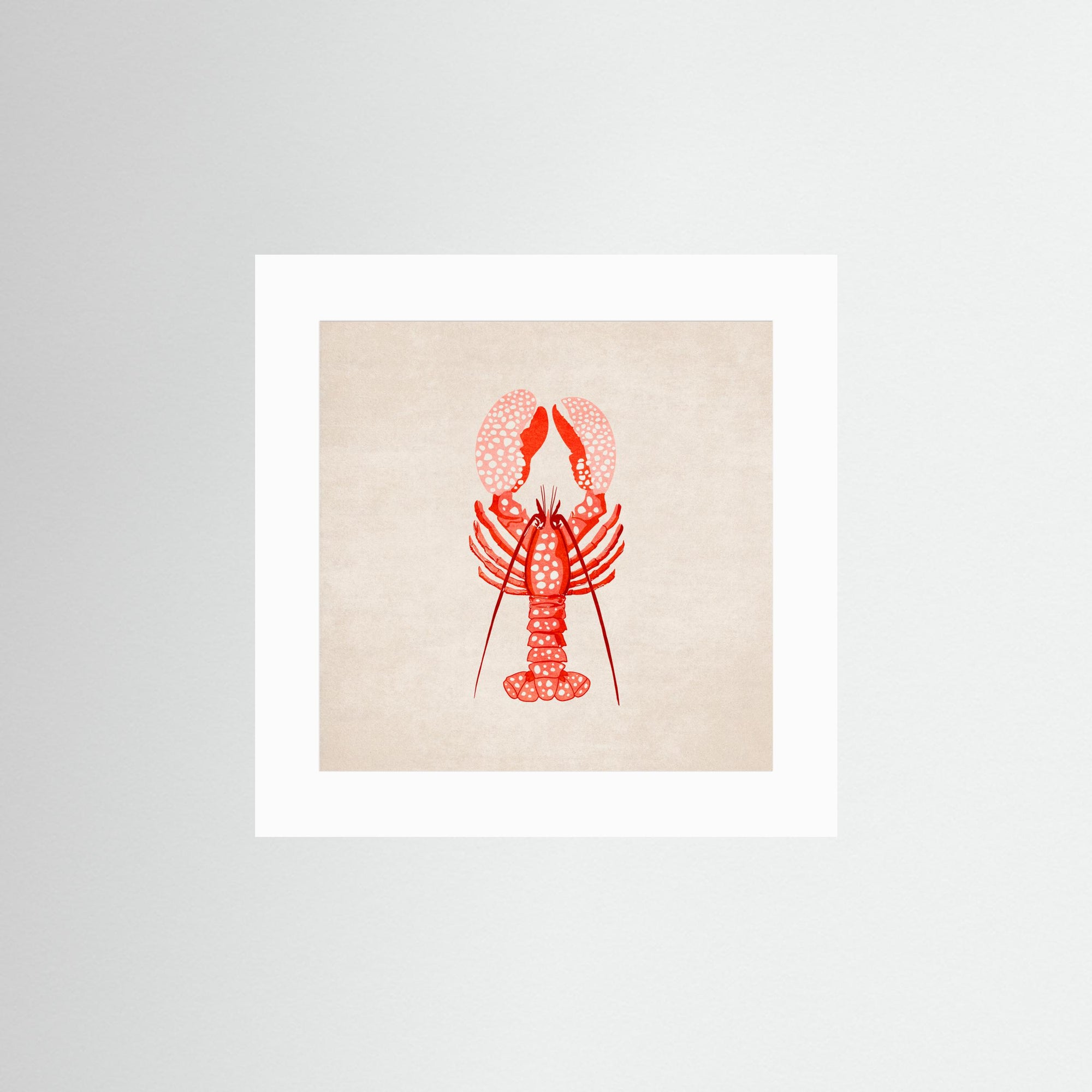 Istakoz by Emel Tunaboylu No Frame White