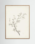 Floral Branch Sketch Wall Art Oak Nature No border