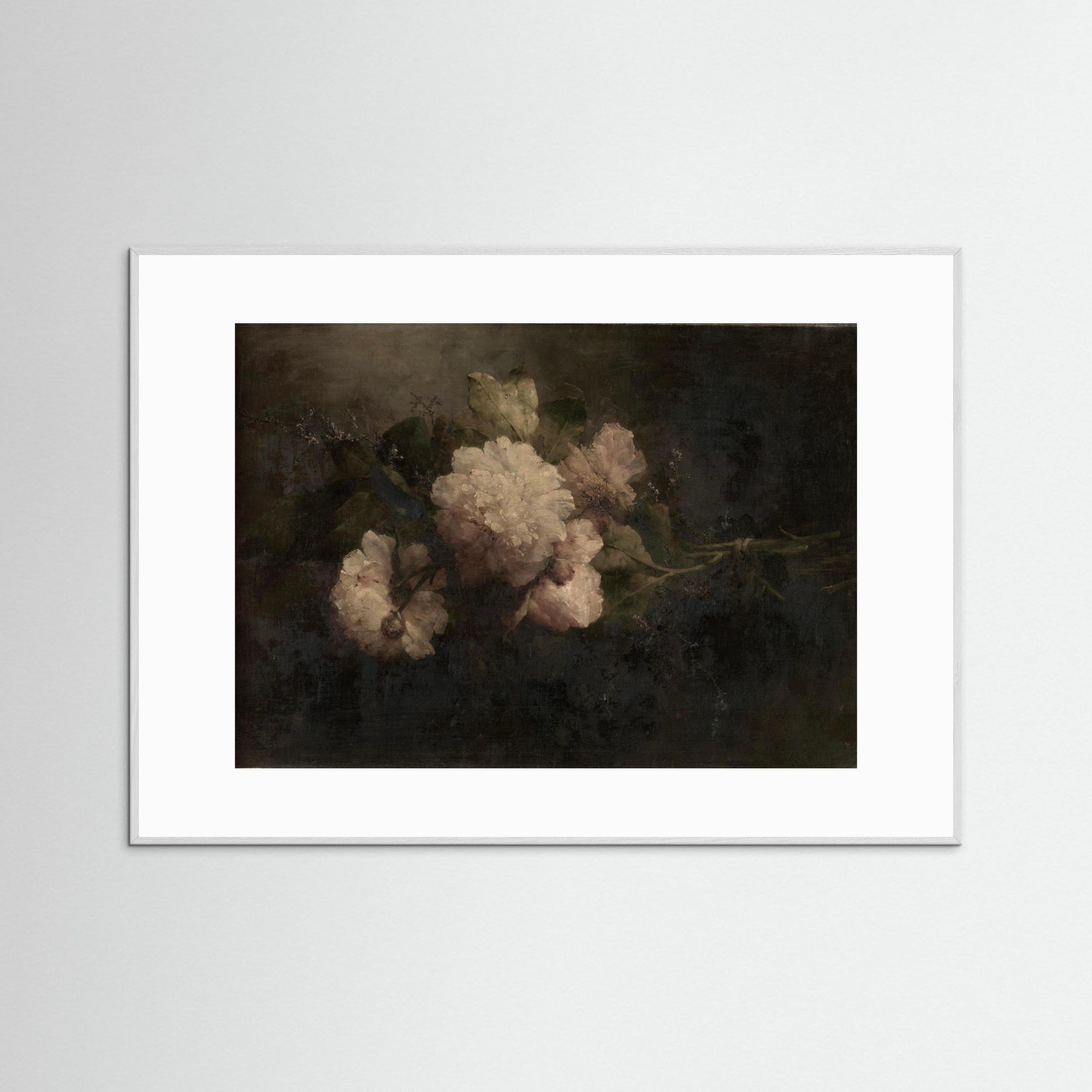 Peonies Bouquet Still Life Art Print White Wood White