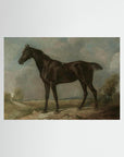 Horse Art Print No Frame No border