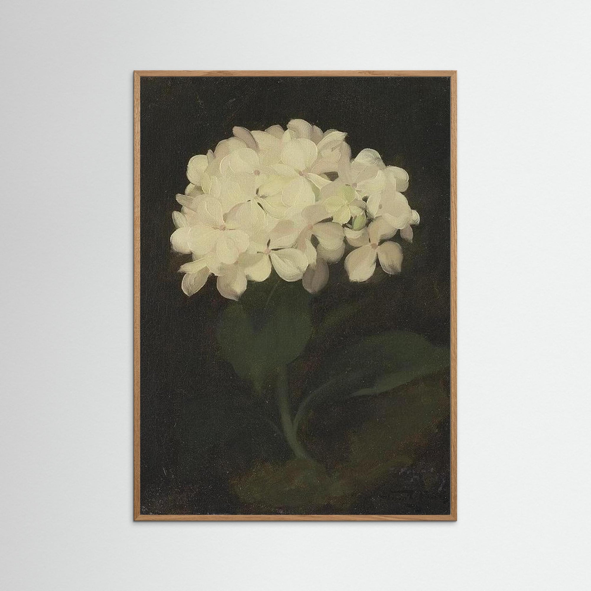 Timeless Hydrangea Bloom Wall Art Oak Nature No border