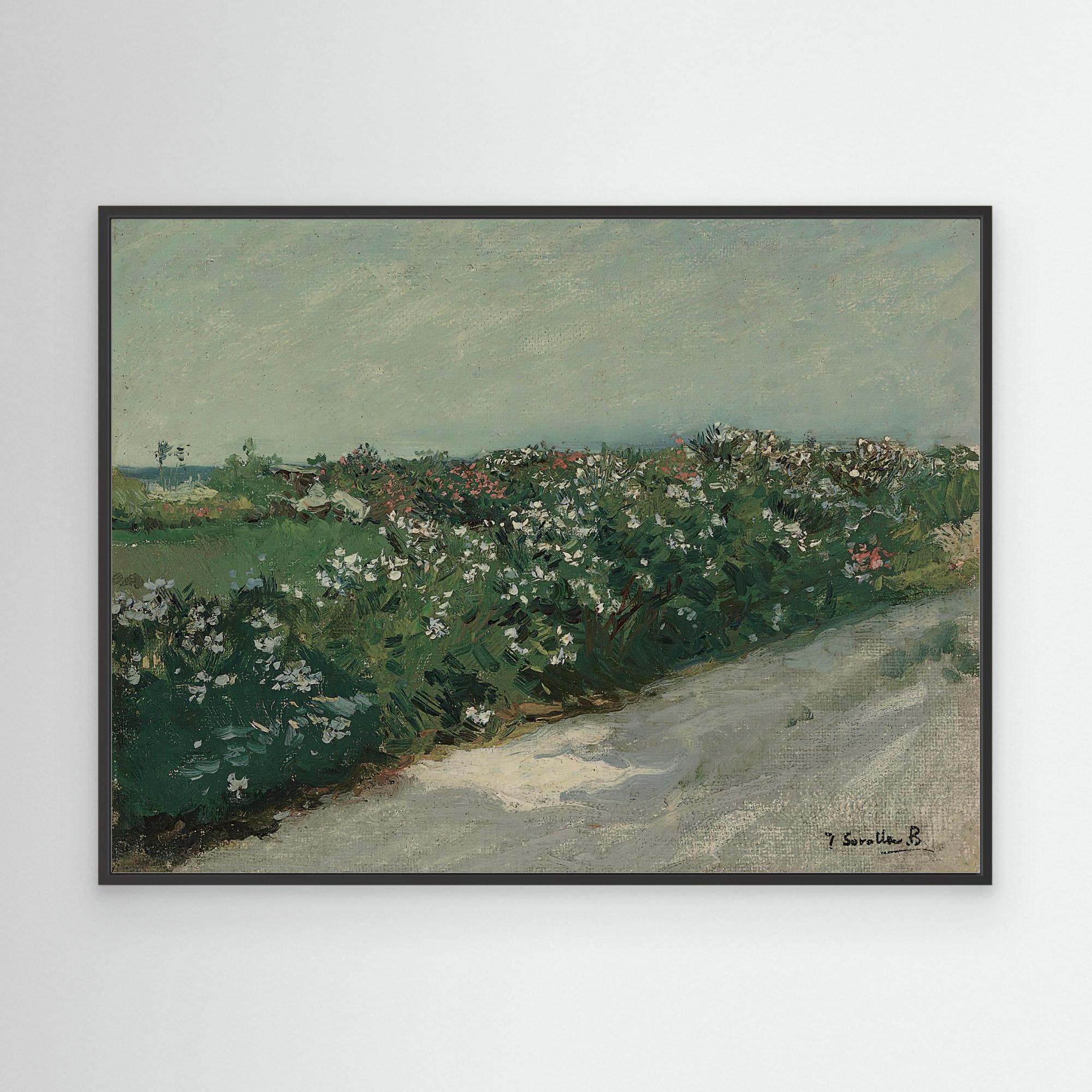 Countryside Road with Flowers | Canvas Black