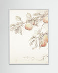 Peach Tree Botanical Art Print White Wood No border
