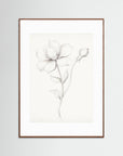 Floral Drawing Art Print Oak Dark White