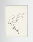 Floral Branch Sketch Wall Art White Wood No border