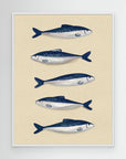 Sardines by Emeli Emaria White