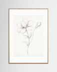 Floral Drawing Art Print Oak Nature White