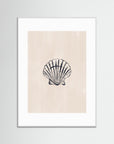 Seashell by Ivy Green Illustrations White Wood White