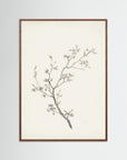 Floral Branch Sketch Wall Art Oak Dark No border