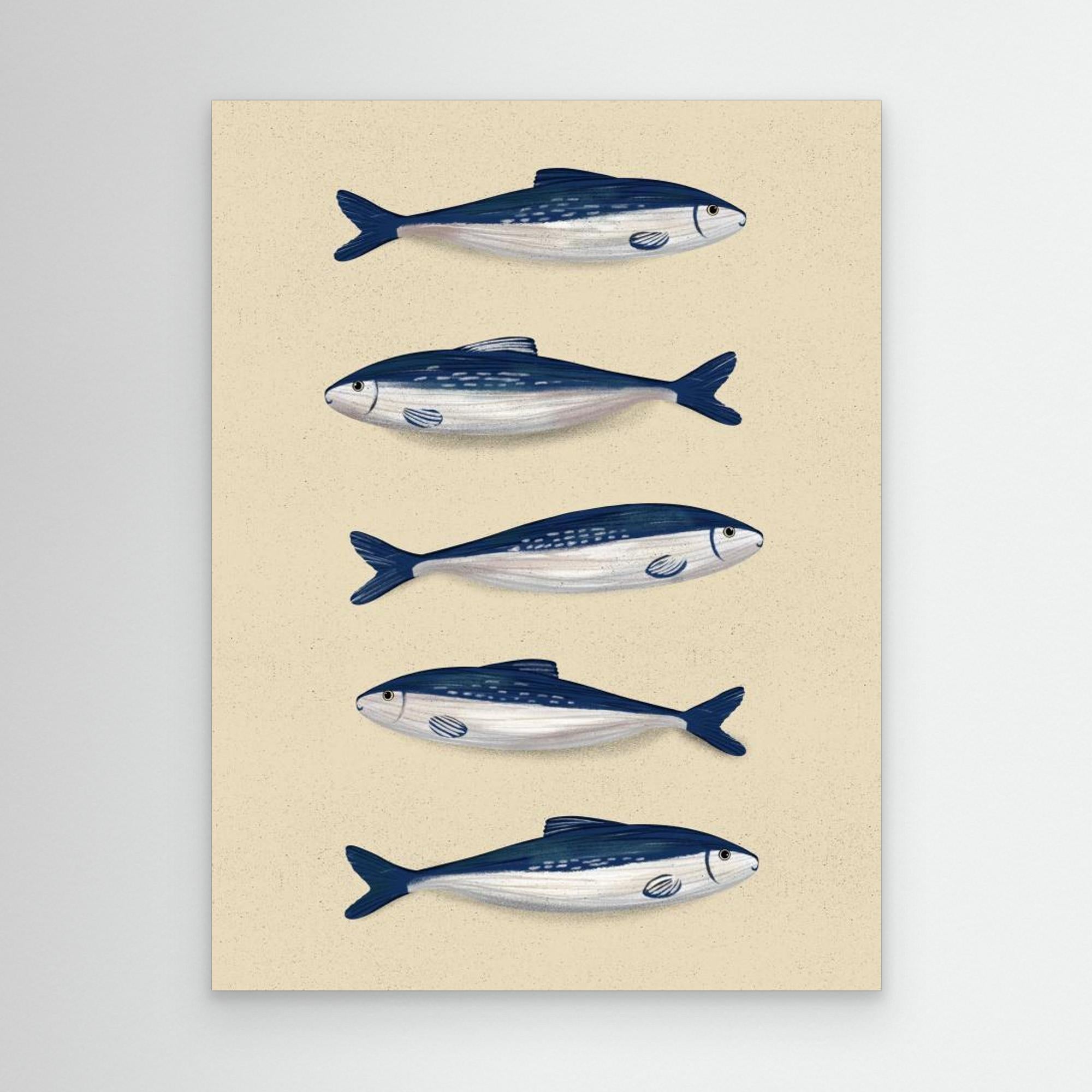 Sardines by Emeli Emaria No Frame