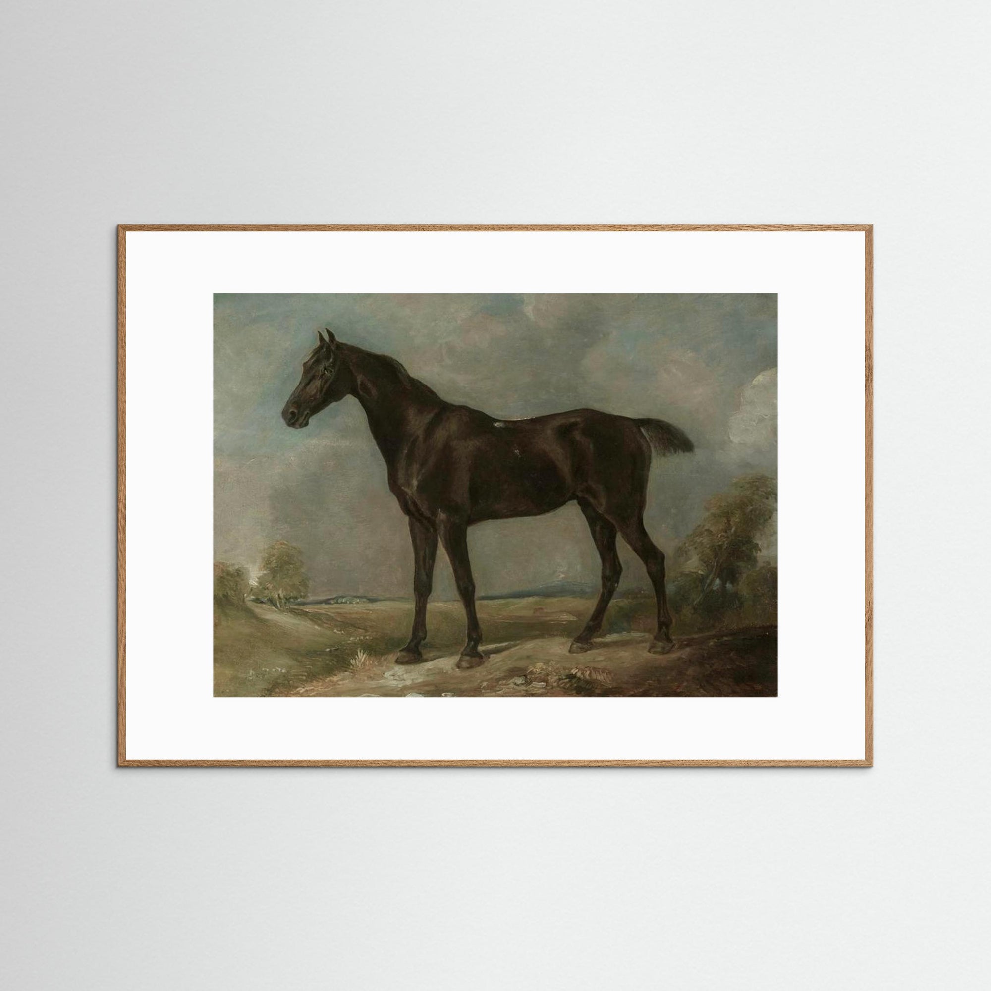 Horse Art Print Oak Nature White