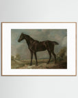 Horse Art Print Oak Nature White