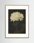 Timeless Hydrangea Bloom Wall Art Oak Dark Freja