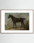 Horse Art Print Oak Dark White