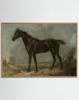 Horse Art Print Oak Nature No border