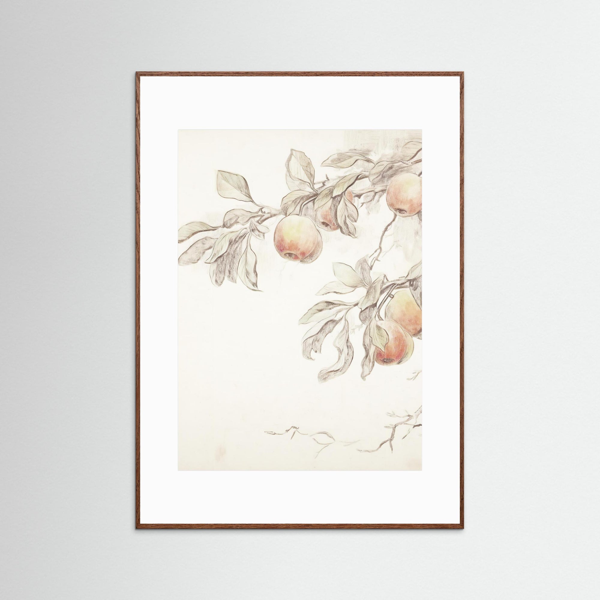 Peach Tree Botanical Art Print Oak Dark White