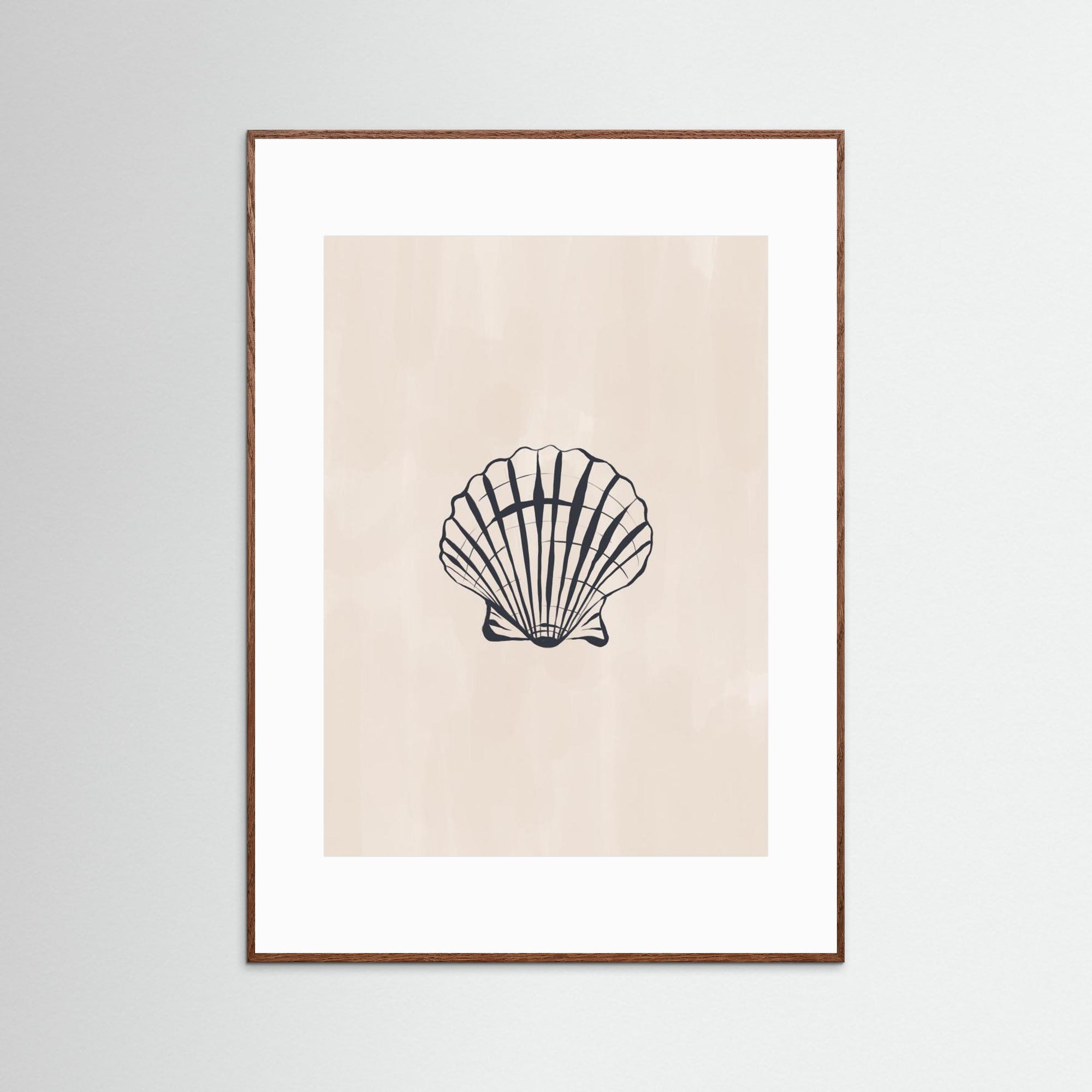 Seashell by Ivy Green Illustrations Oak Dark White