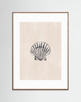 Seashell by Ivy Green Illustrations Oak Dark White