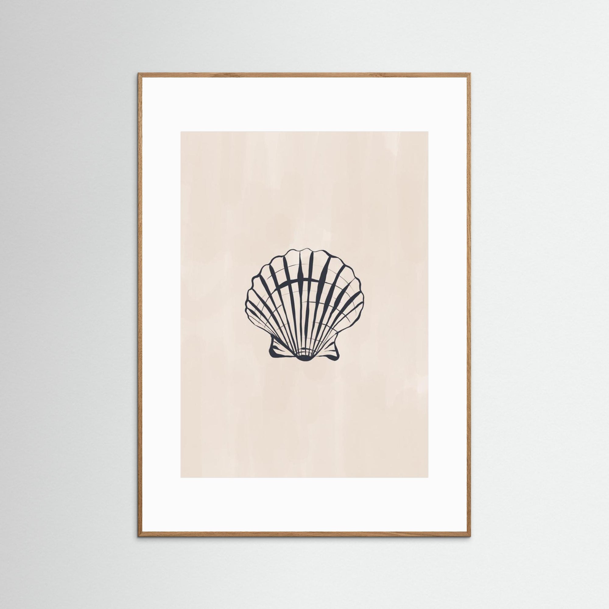 Seashell by Ivy Green Illustrations Oak Nature White