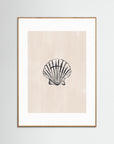 Seashell by Ivy Green Illustrations Oak Nature White
